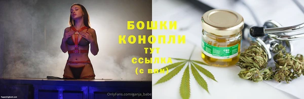 скорость Вяземский