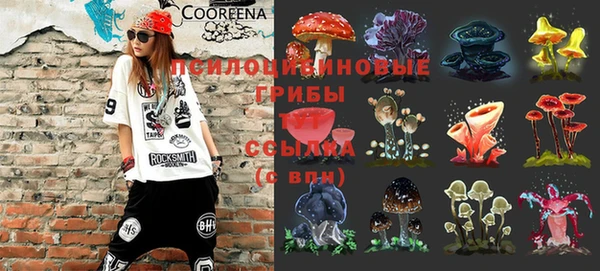 Альфа ПВП Вязьма
