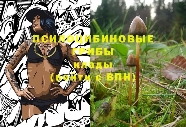 скорость Вяземский